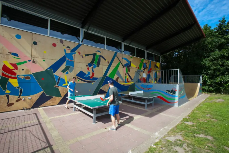 De kuilart 17 edited