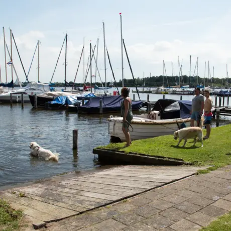 Hond in het water Kuilart