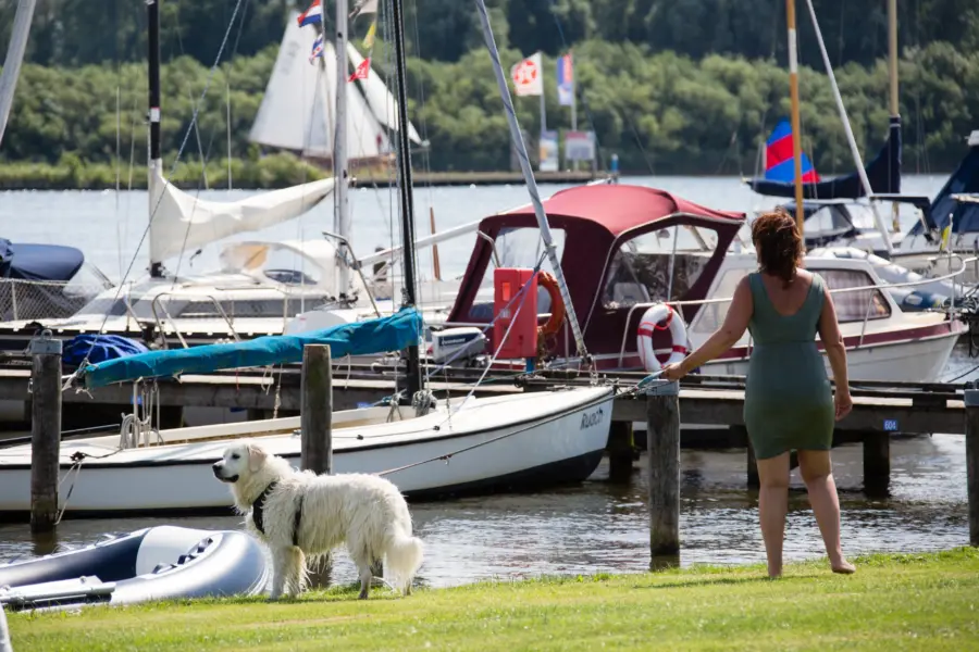 Kuilart honden toegestaan