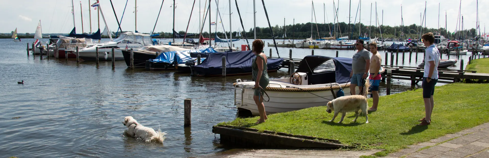 Hond in het water Kuilart