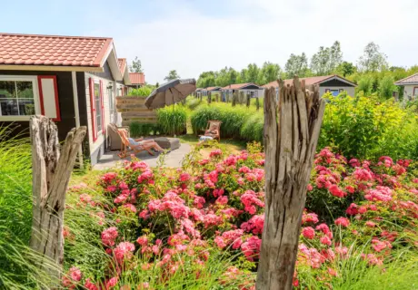 Chalets op Vakantiepark De Meerpaal in Zeeland