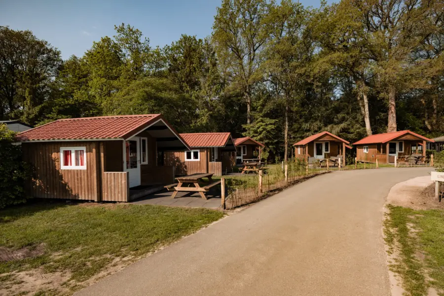 kampeerhut- 5 kampeerhutten op rij