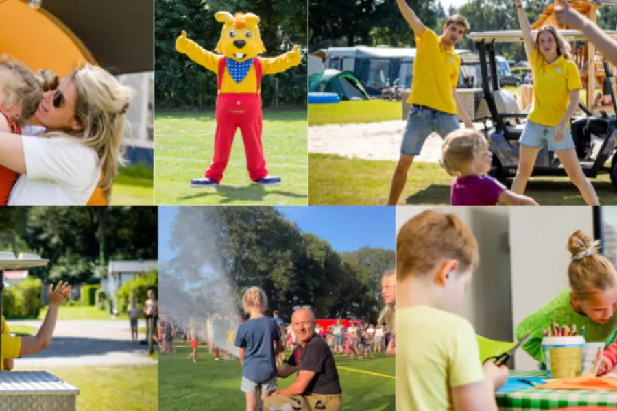 Collageardoerwebsite