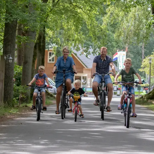 Gezin fiets receptie