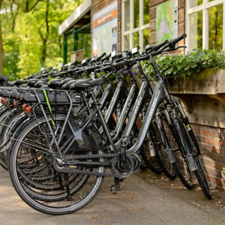 Fietsverhuur 1c5a8323