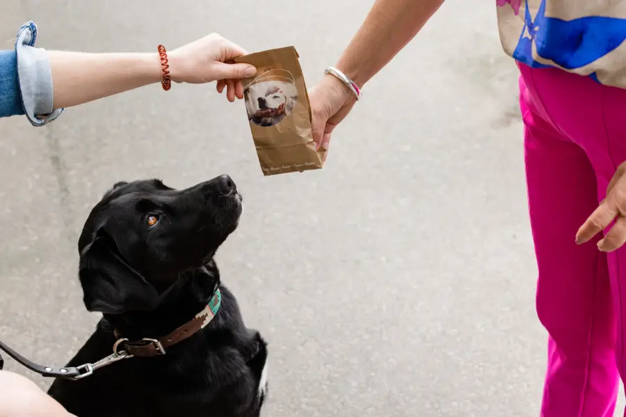 Receptie hondenpakketje met hond