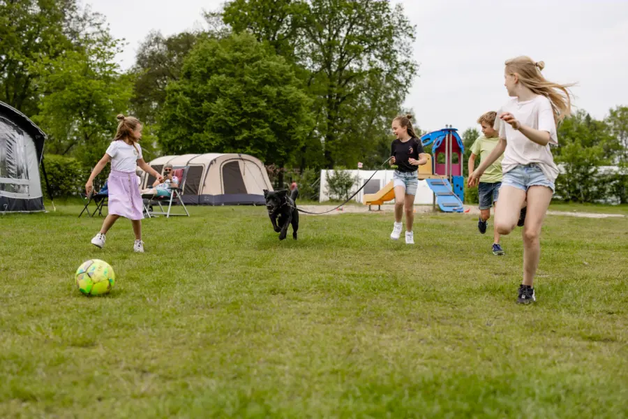 Hond kinderen spelen met hond