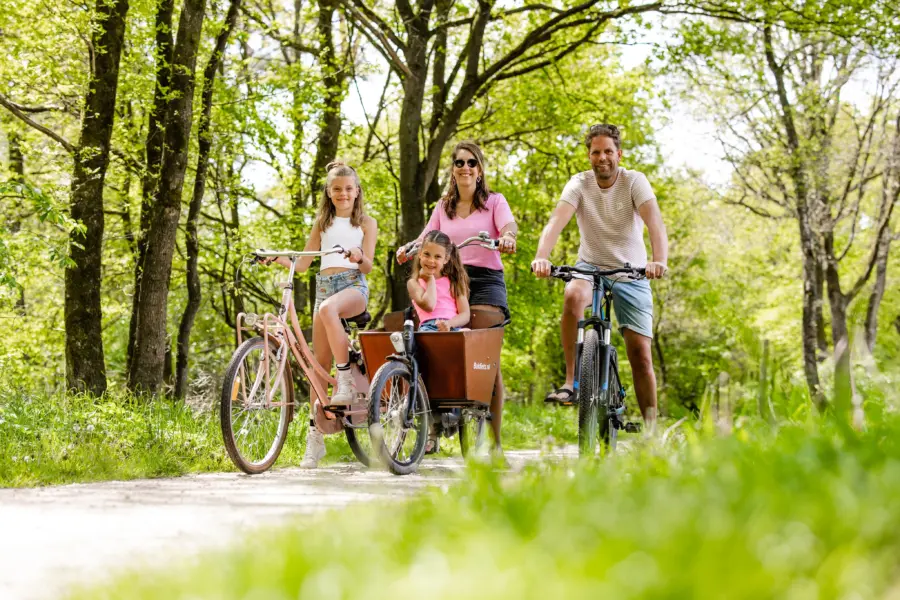 Omgeving- gezin op de fiets (3)