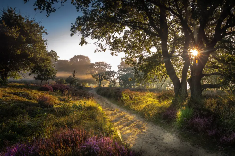 Camping noetselerberg