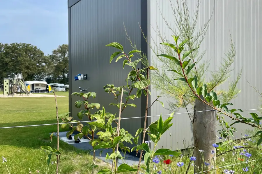 Vlinder buitenkant met speeltuin op achtergrond