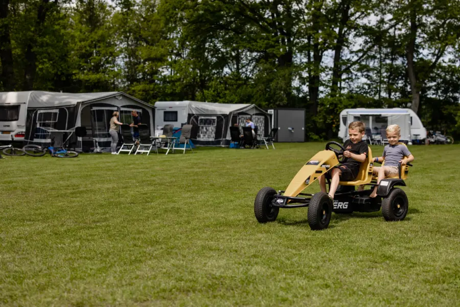 Bosuil jongetjes op de skelter