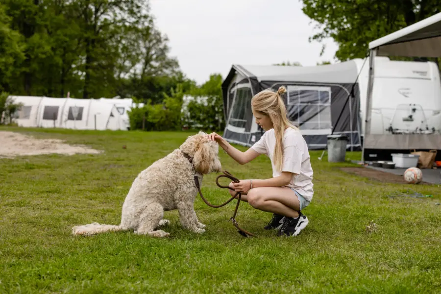 Hond- meisje met hond voor caravan