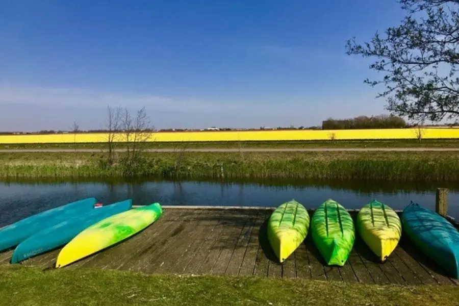 Kano 27s met narcissen