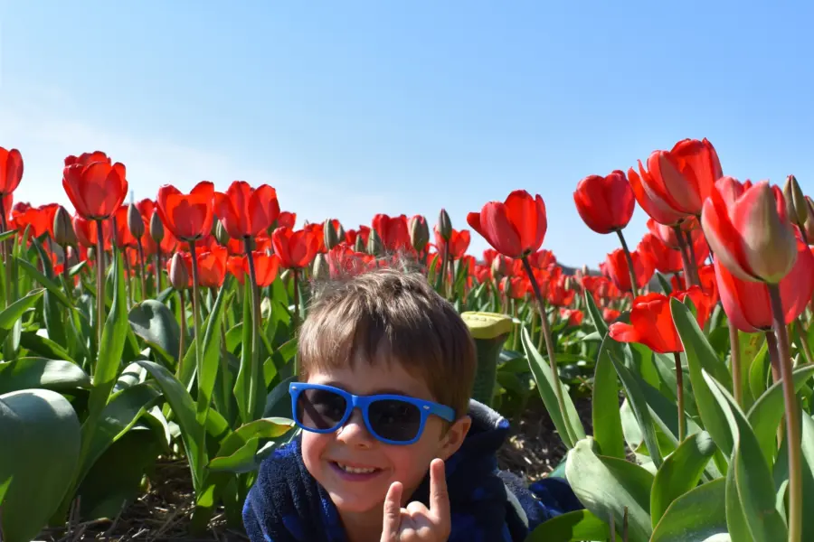 Jake in de tulpen