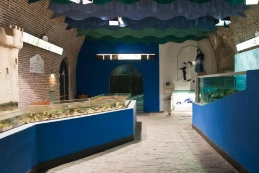 Foto zeeaquarium