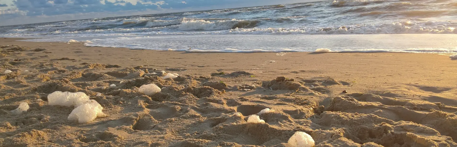 Schuim op strand