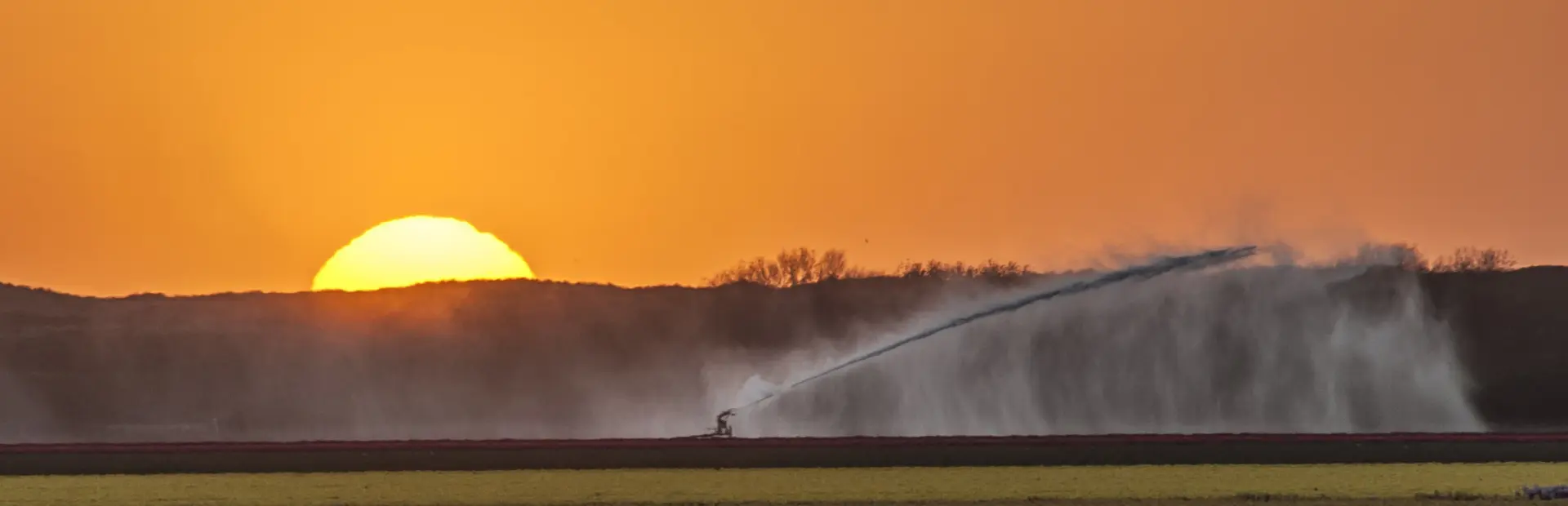 Tupen zon duinen en sproeier