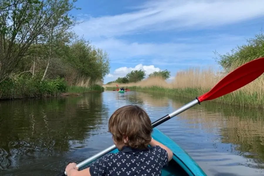 65b2555a 6026 4bda 999c 2abb704fd33d13462