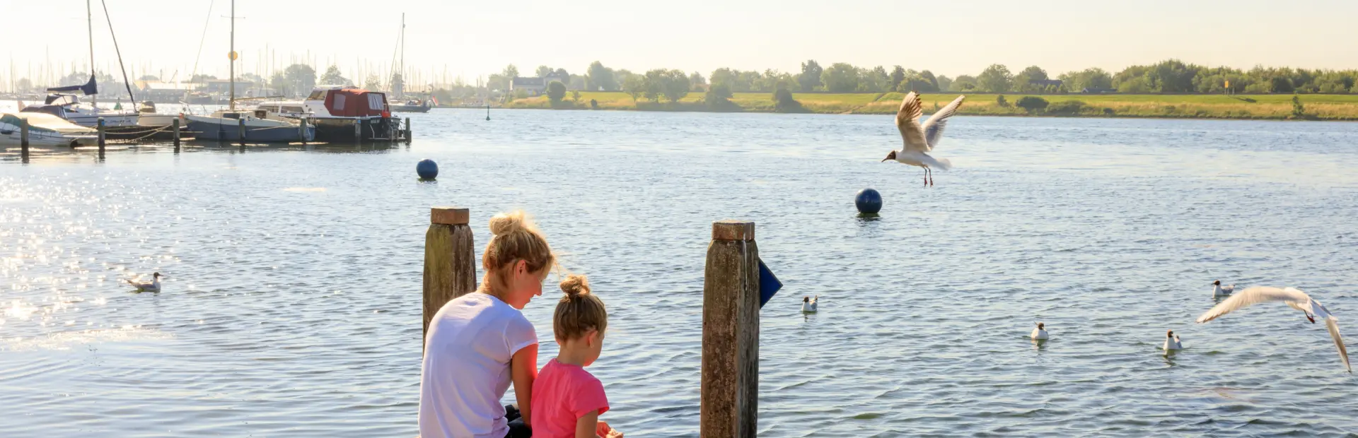 Paarkdekreek Veersemeer 2