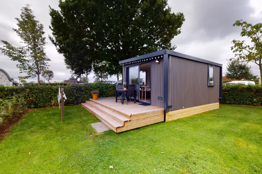 Mussuite 4 10132021 120701