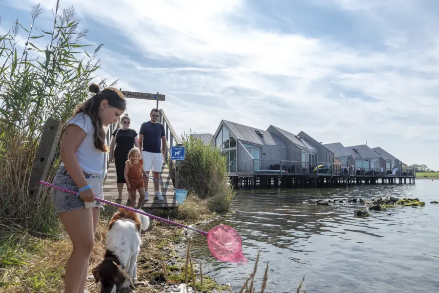 Veerse meersuite vanuit natuurgebied