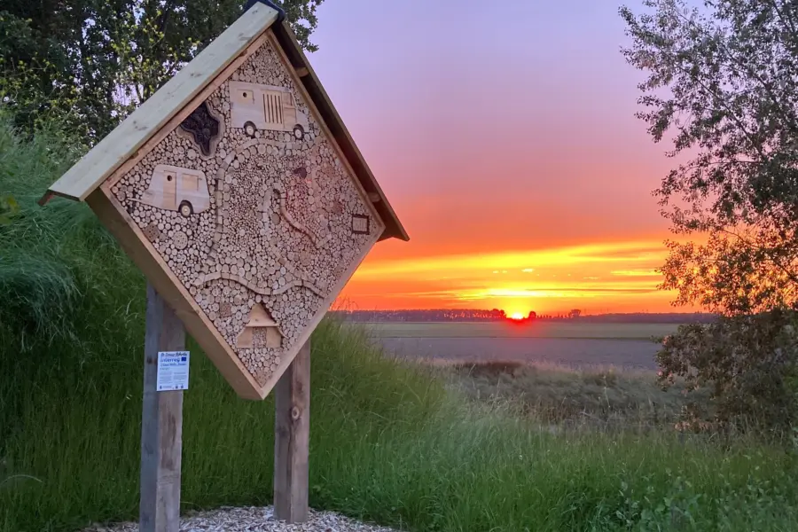 Insecten hotel met uizicht