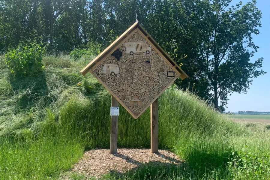 Zeeuwse Dijksuite 6 juni 4