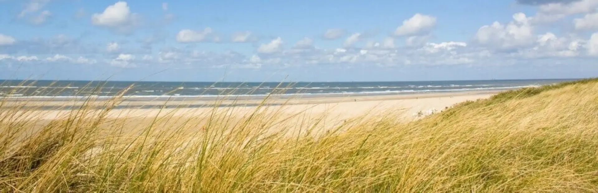 Strand zeeland 1024x683