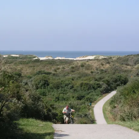 Verklikkersduinen