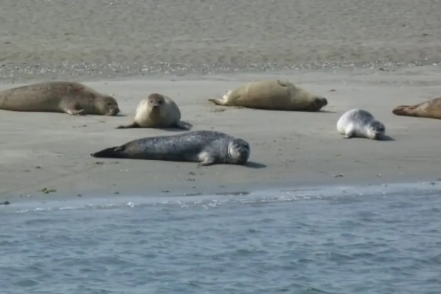 Nationaal Park Oosterschelde
