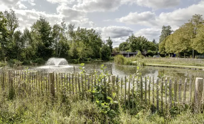 Vijveraanzicht kasteel