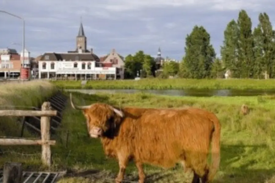 Boswachterij hardenberg