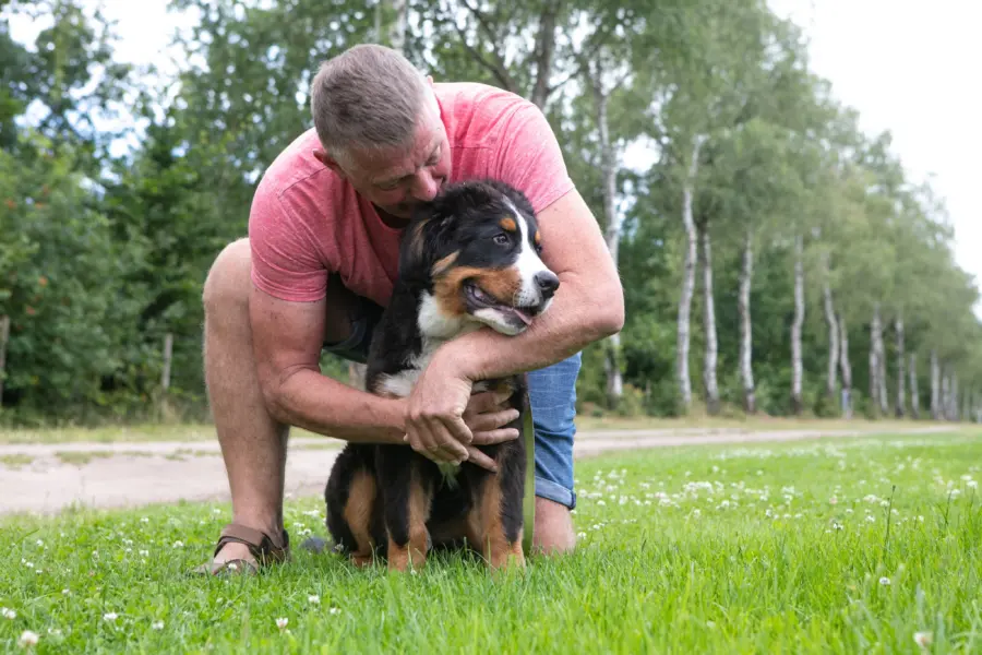 Hond (buiten de camping)
