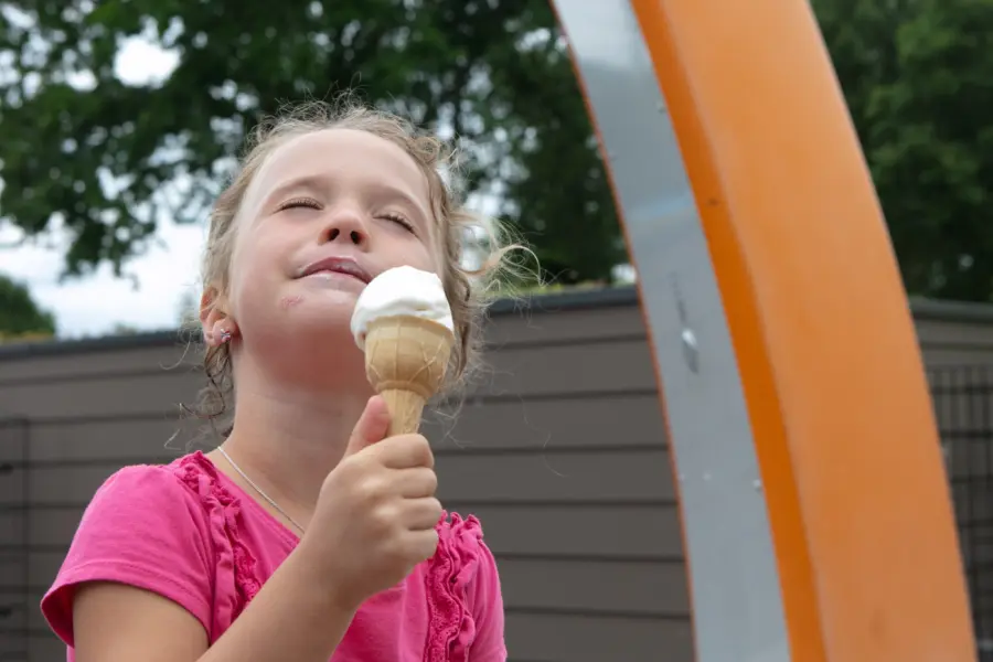 IJsje eten Rheezerwold