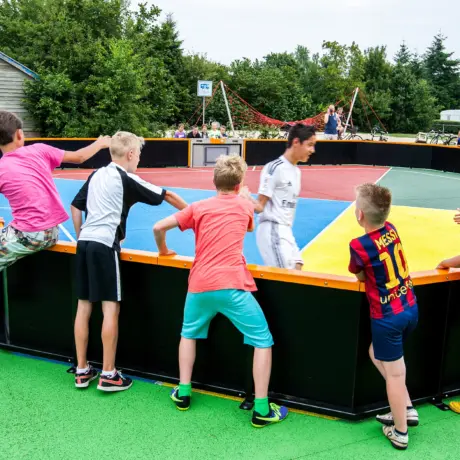 Panaveld interactives