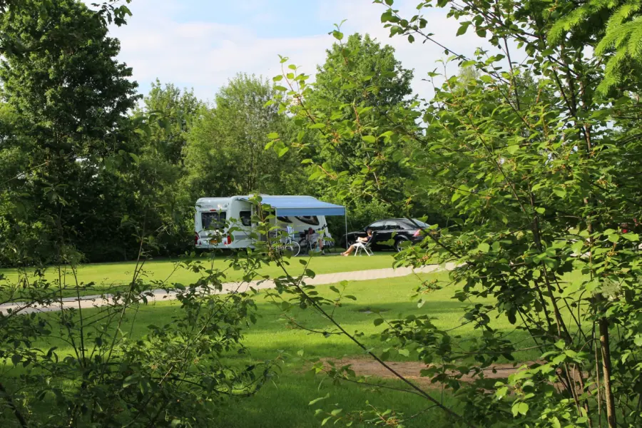 Comfortplaats veld Nachtegaal