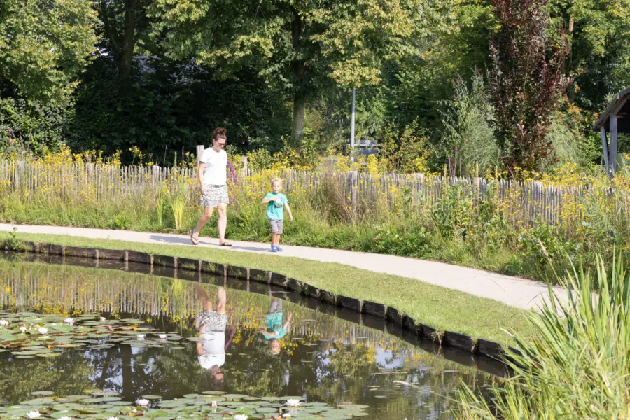 wandelpad bij visvijver