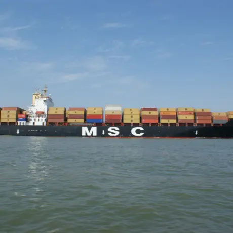 Ardoer Zeeland Baarland familiecamping Scheldeoord omgeving  (167)