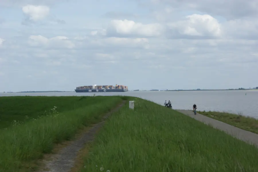 schip op Westerschelde
