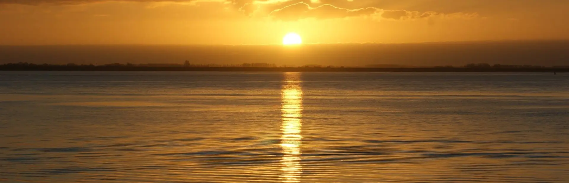 1403153_551033771645661_536184955_o[1]