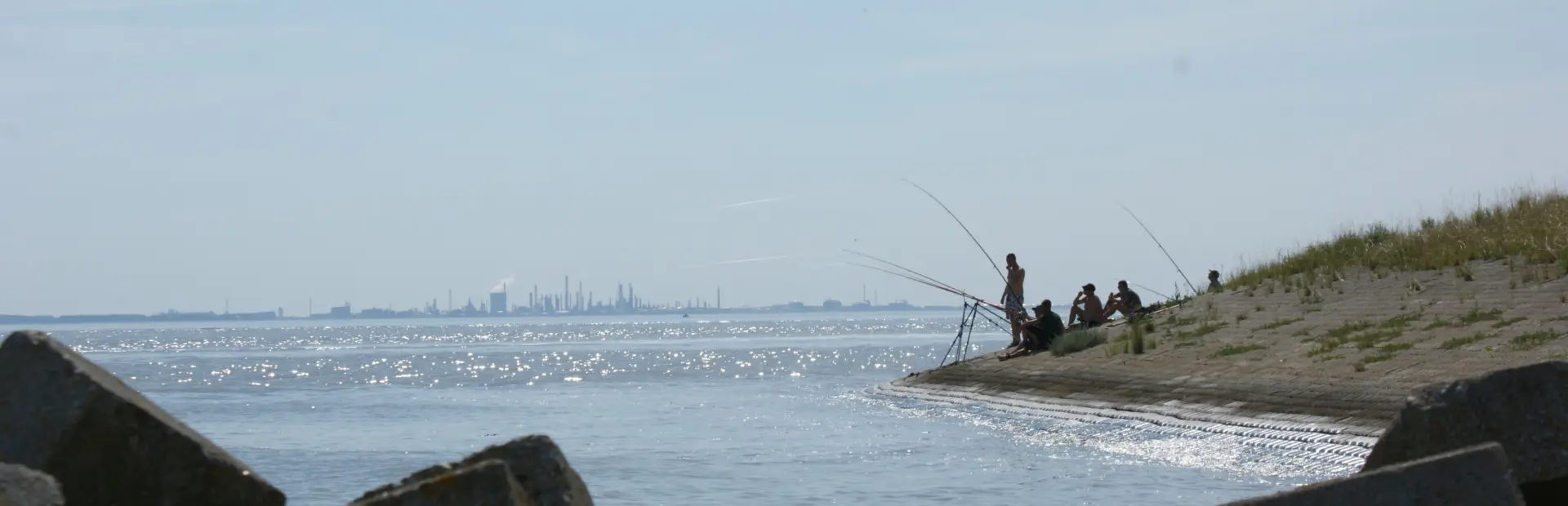 vissen op Westerschelde
