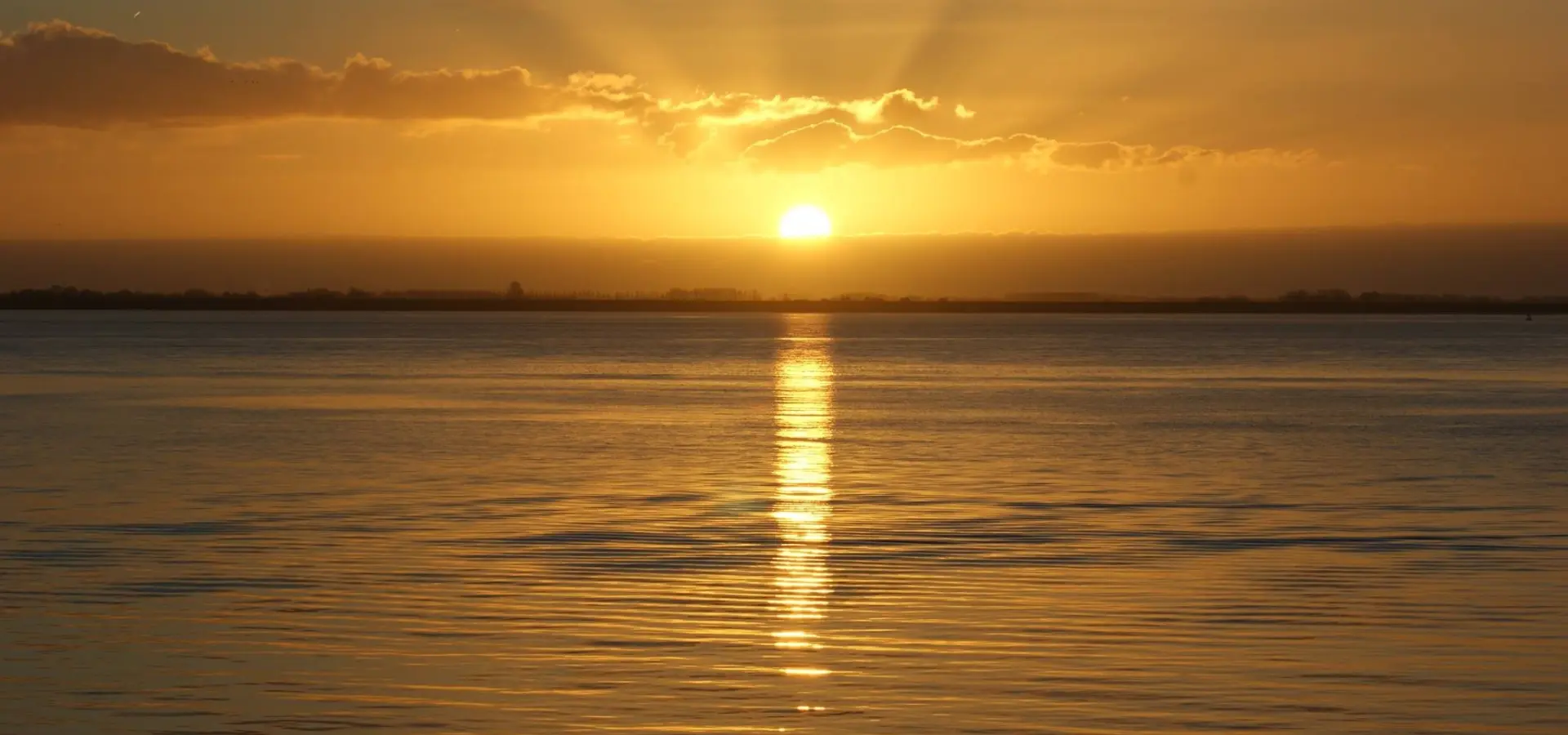 1403153_551033771645661_536184955_o[1]