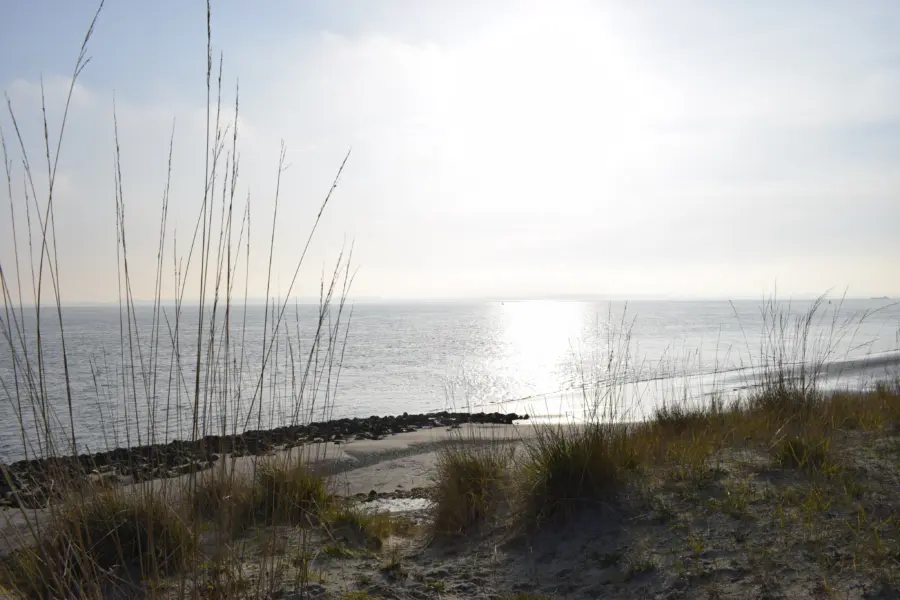 aan het Scheldestrandje