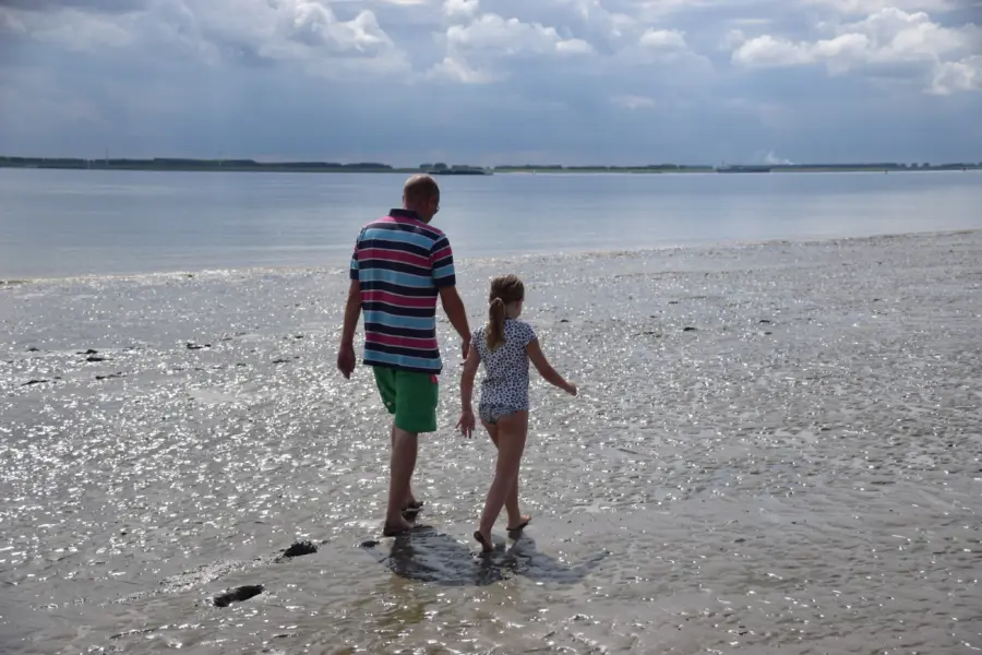 wadlopen Westerschelde