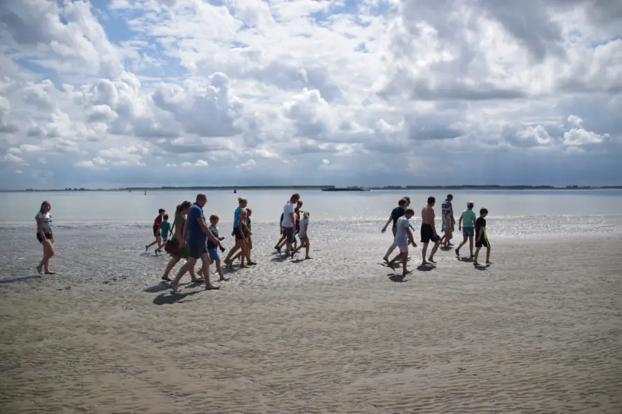 wadlopen Westerschelde