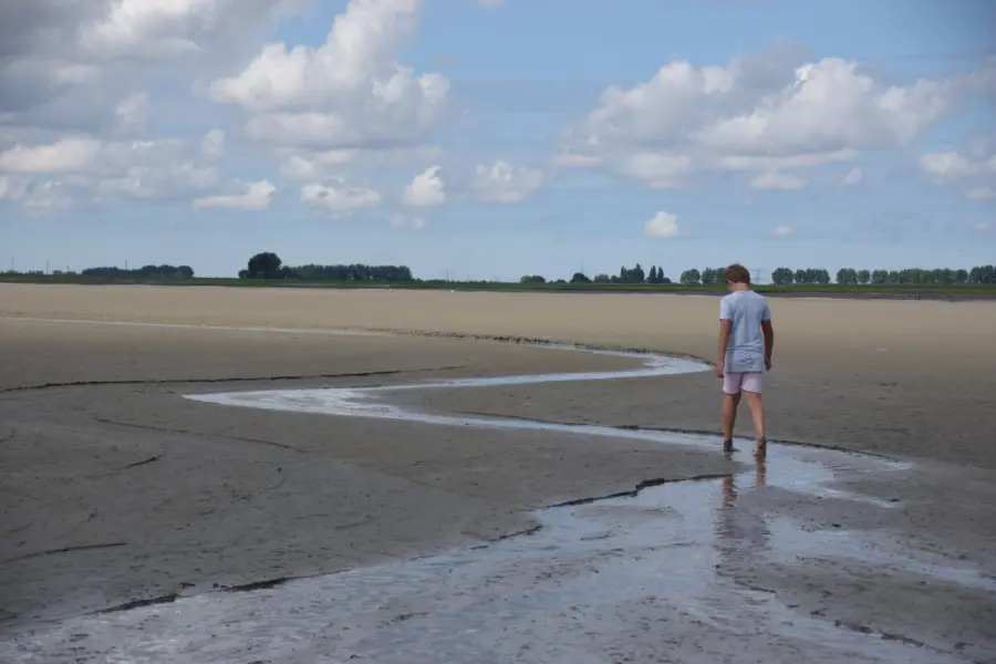 wadlopen Westerschelde