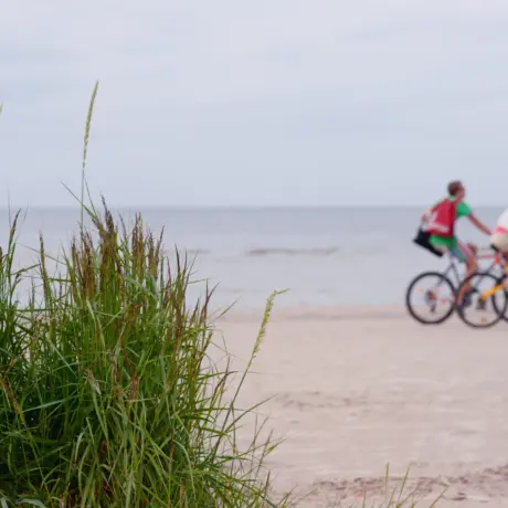 Depositphotos 5909481 xl 2015