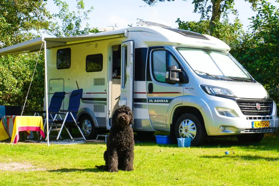 Hond voor camper