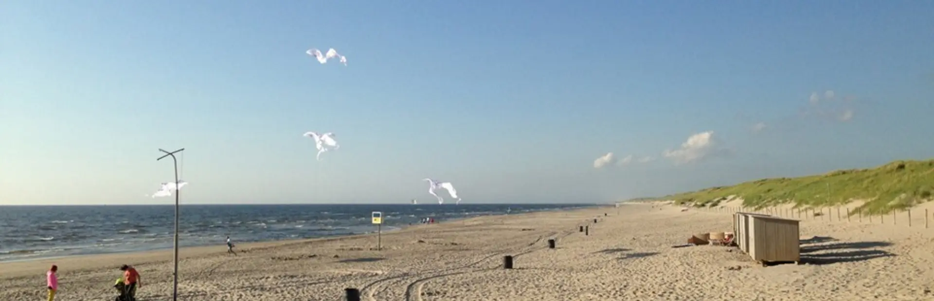 Bs 28 strand in sint maartenszee