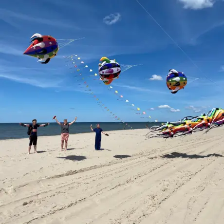 Strand vliegers
